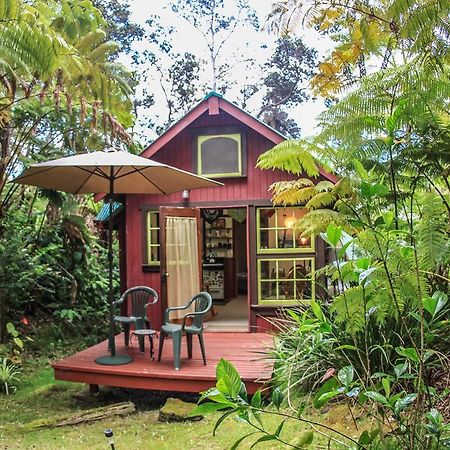 Ferny Hollow: Romantic Rainforest Cottage Volcano Kültér fotó