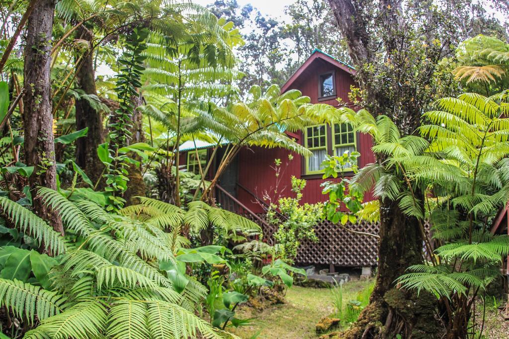 Ferny Hollow: Romantic Rainforest Cottage Volcano Kültér fotó
