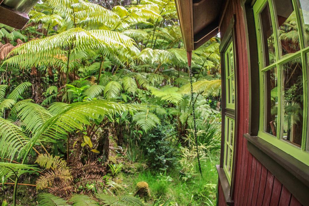 Ferny Hollow: Romantic Rainforest Cottage Volcano Kültér fotó